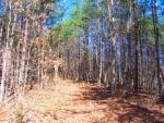 Areas of the property have been cleared.
