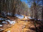 Unpaved road cut into property.