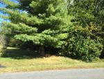 1.0 acre wooded lot 