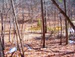 Property has a wet weather pond and horses are permitted. 